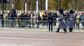 King’s Guards align themselves to within an inch on The Mall ahead of the procession for the president of South Korea