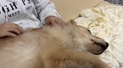 temp