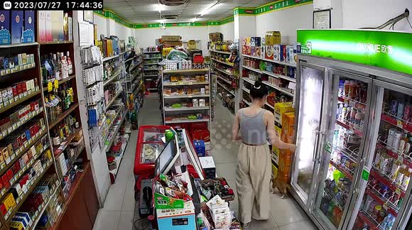 Shopkeeper accidentally traps cat's tail in fridge door - Buy, Sell or ...