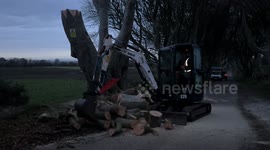 Work to remove dangerous trees at Dark Hedges in Northern Ireland, UK goes on