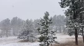 Winter storm hits Evergreen, Colorado: heavy snowfall and chilly conditions
