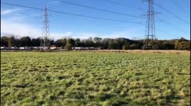 Our dog chasing deer in a field near our house and my wife calling out his name - very similar to the Fenton video