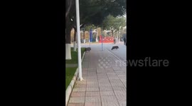 Chaos erupts as wild boars invade Chinese university campus