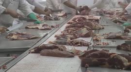 52 million tons of meat are wasted worldwide