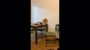 temp
