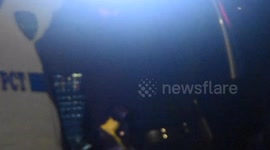 NYPD Rescues Cats From A Vehicle In Manhattan, New York