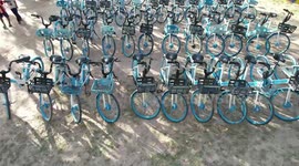 Chinese-donated bicycles give smile, hope to underprivileged students in Cambodia