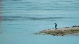 A shutterbug's passion for finless porpoises