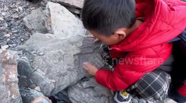 Boy, 5, finds 500-million-year-old fossil while hiking with his dad