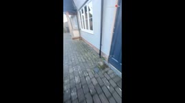 Year-long traveling adventure comes to an end with a heartfelt surprise reunion with family