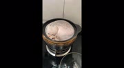 temp