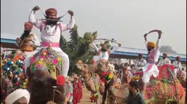 Must-see moustaches! Competition sees men with incredible facial hair go head to head