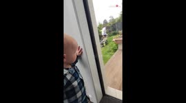 Adorable boy paces from one window to next to make sure his eyes stay glued to Daddy