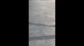 Dog Sits Atop Motorcycle While Waiting For Owner