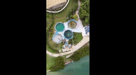 67-year-old manatee endures solitary confinement in deteriorating conditions at Miami Seaquarium