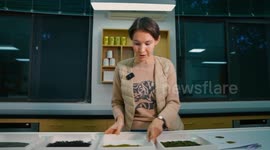 Russian student pursues dream in China's tea-producing region