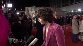 Timothee Chalamet on the red carpet at the World Premiere of Wonka in London, UK