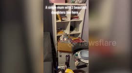 Extreme cleaner scrubs and tidies homes for FREE