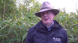 Public say goodbye to pandas in Edinburgh ahead of return to China