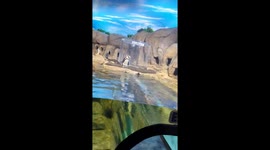 Penguins Fascinated By Spinning Toy