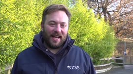 Public say goodbye to pandas in Edinburgh, UK ahead of return to China