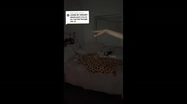 Woman buys sparkly top for fiver at charity shop – left stunned as it turns out to be worth over £500 (Pt 2)