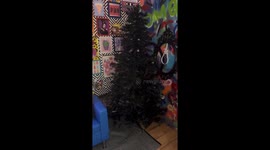 'Trolls say my wacky Christmas decor makes them sick – but I don't care, my family love it' (part 1)