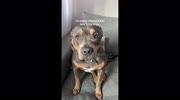 temp