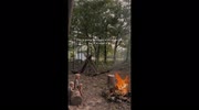 temp
