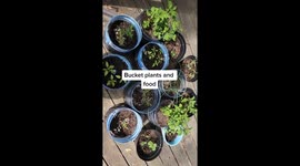 Doomsday ‘prepper’ with BUNKER spends £61,000 on supplies to get ready for war (Part 1)