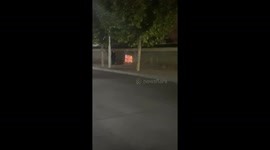 Elderly gentleman's stroll combines exercise and entertainment in China