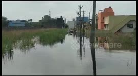Firefighters rescue five puppies stranded for two days by flood in India