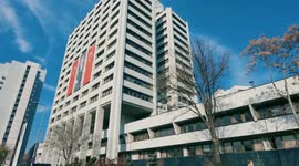 Türkiye's central bank reserves record historic high