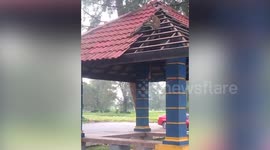 Diligently destructive wild monkey peels the tiles off one-by-one from a park gazebo's roof