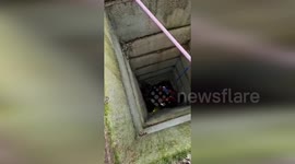 Firefighters Save 70kg Cane Corso from 10-Meter Well Plunge in Rome, Italy