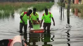 Heartwarming! Fire officials save puppies stranded in flooded house as rain batters southern India