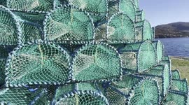 Ullapool Christmas tree switch on in UK