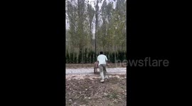 Family's Heartwarming Effort Creates Dreamy Lawn Wedding in Henan, China