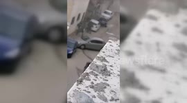 Israel's army killed two Palestinians in Qalqilya, Gaza and seized their bodies