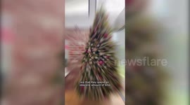 Mum spends eight hours painstakingly hand-making 350 decorations for her Christmas tree - and saves herself $2,250