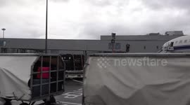 Edinburgh Zoo pandas loaded onto plane headed for China in Edinburgh, UK