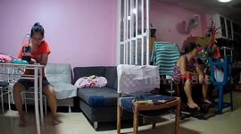 Dog jumps on chair and slides like a circus pro