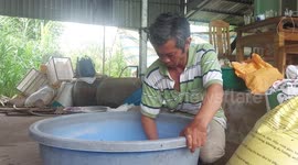 Vietnamese cricket farmer shows off his high-income insect farm