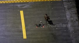 Heroic students save endangered muntjac from savage stray dog attack in China