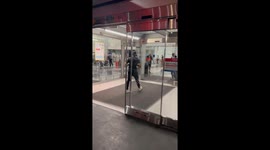 Adorable family's six-month journey to reconnect culminates with an emotional reunion