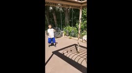 Chinese boy shatters beer cans by throwing playing cards at them