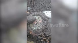 Metal detectorist unearths Ford car tax disc dating back almost exactly 100 years