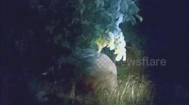 Wild elephant smashes house wall to steal food in Thailand