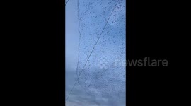 Thousands of birds swarm winter skies in northern China
