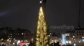 The first night of the traditional Christmas Tree in Trafalgar Square